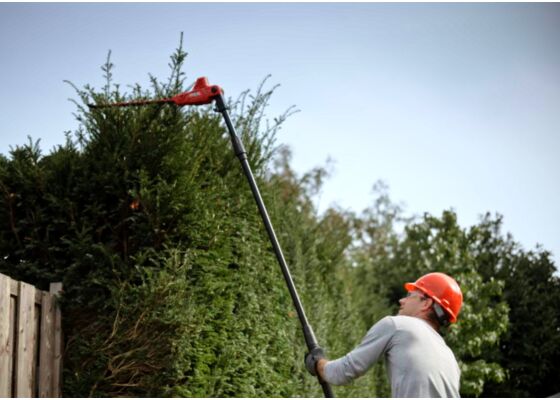 SKIL 0640 CA pitkävartinen akkupensasleikkuri