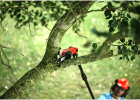 SKIL 0650 CA pitkävartinen oksasaha - 0